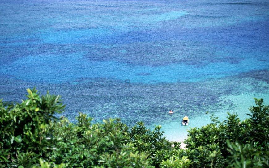 浪漫衣裙